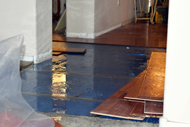 Professional Water Damage Restoration technician working in Quogue, NY